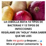 Jarabe Potente de Cebolla y Miel: El Remedio Casero que Combate 14 Bacterias y 13 Tipos de Infecciones