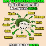 Beneficios de la guanábana