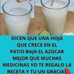 Receta de agua de avena para la salud.