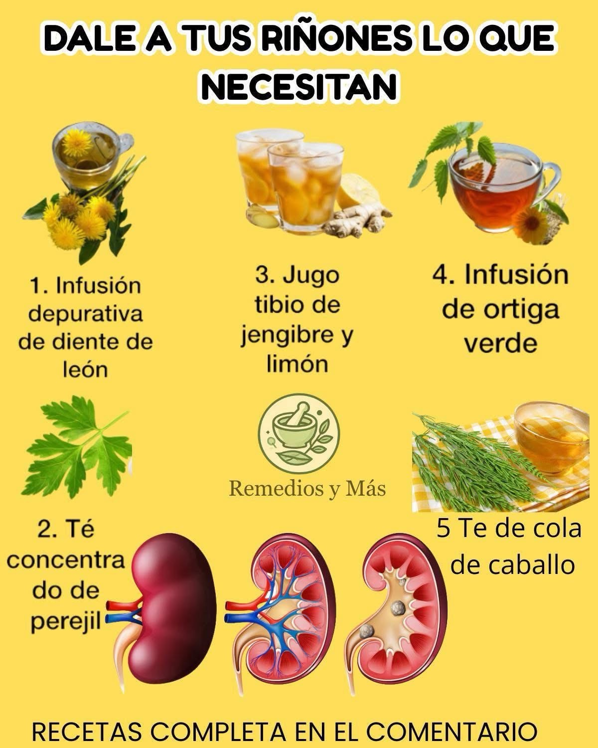 Descubre 5 Recetas Naturales para Mejorar la Salud Renal - Wowug