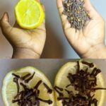Descubra los poderosos beneficios del clavo, el limón y la cebolla: una combinación natural para la salud y el hogar.